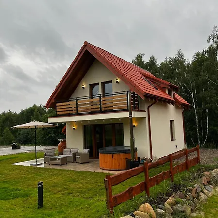 Szyszki I Motyle