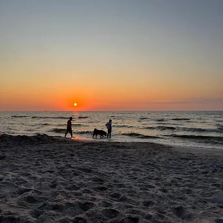 Szyszki I Motyle Vila *