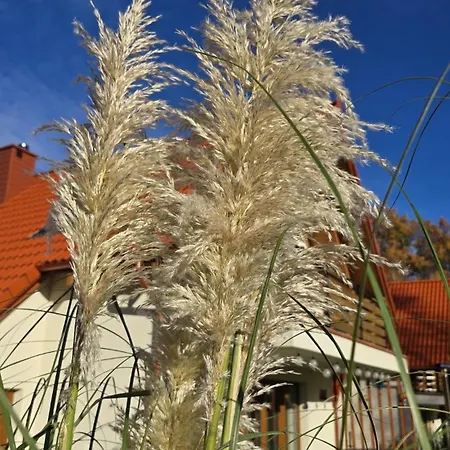 Szyszki I Motyle Vila Ulinia